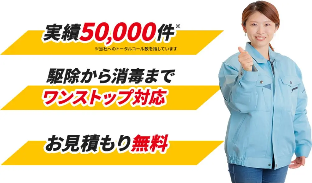 実績50,000件 駆除から消毒までワンストップ対応 お見積り無料
