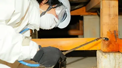 専門のスタッフが徹底駆除