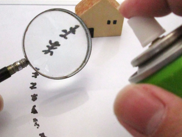 市販の駆除剤でもシロアリは駆除できる？市販のシロアリ駆除剤の注意点